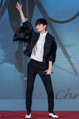 组图：李宇春新专辑走文艺风 费翔惊喜捧场