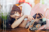 组图：张佳宁与酣睡小猫纯真出镜 童趣写真曝光