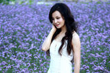 组图：陶红娇媚写真曝光 紫花海中演绎白裙浪漫