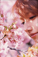 组图：人比花娇！后藤真希樱花写真娇艳动人