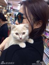 组图：喵星人征服女神！刘亦菲潮装抱猫萌萌哒