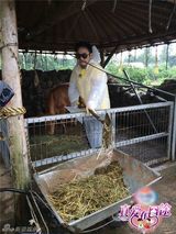 组图：真爱在囧途三妻集体失踪 王弢谈刘璇泪奔