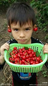 组图：儿童节萌娃当道！众星晒亲子照欢乐过节