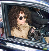 组图：Gaga头顶“方便面”驾临 怀抱爱犬不忍放