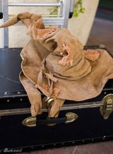 组图：小夫妻办哈利-波特主题婚礼 斯内普证婚