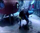 组图：贾乃亮为博女儿一笑 表演潜水险晕倒