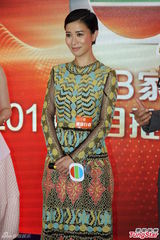 组图：上海电视节TVB林峰缺席黄宗泽避谈感情