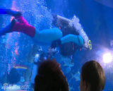 组图：贾乃亮为博女儿一笑 表演潜水险晕倒