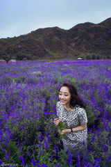 组图：蒋梦婕薰衣草花海梦幻清新宛若花仙子