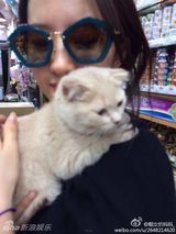 组图：喵星人征服女神！刘亦菲潮装抱猫萌萌哒