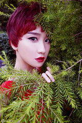 组图：陈彦妃红短发抢眼 宛若丛林精灵