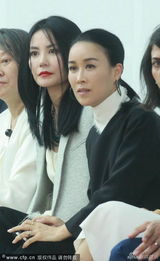 组图：王菲亮相品牌秀帅气十足 那英端庄典雅