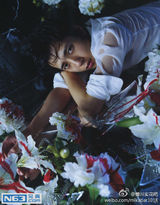 策划：盘点蜷川实花镜头前的那些中日韩明星们