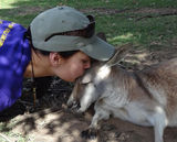 组图：女记者亲密接触动物 和狼接吻与豹同眠