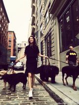 组图：美女与萌狗！佟丽娅纽约遛狗俏皮妩媚