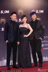 组图：秀兰玛雅金曲红毯秀香肩 型男护花