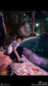 组图：天天戴墨镜超模范儿 与动物亲密接触