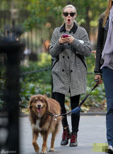 组图：阿曼达-塞弗里德外出散步 表情诡异与狗狗撞脸