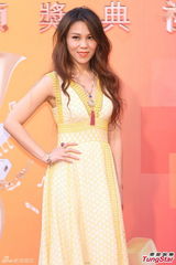 组图：蔡健雅深V长裙亮相红毯 自信秀身材