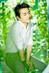 组图：陈晓【演员】白色衬衫阳光帅气 绿植环绕清爽一夏