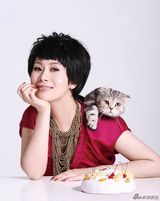 组图：海清夏日清新写真曝光 与猫嬉戏灵动优雅