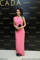 组图：莫文蔚撑场品牌秀 粉色斜肩礼服显优雅