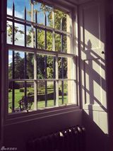 组图：许巍英国音乐之旅 part3 惬意自在享生活