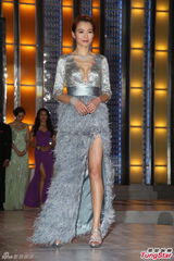 组图：TVB2014巡礼全员出动 女星竞艳旧爱相逢