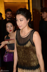 组图：郭晶晶咖色透视礼服捞金 贵妇范儿十足