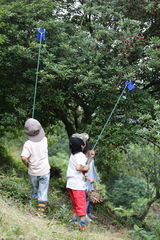 组图：多多贝儿集市风波显情深 复古运动会欢乐