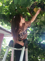 策划：宅男女神周末赏之柳岩 乱花渐欲迷人眼