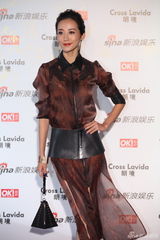 组图：韩雪薄纱裙亮相街拍盛典红毯 宽腰带抢镜