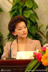 幻灯图：邰丽华两会关注残疾人保障 杨澜回答记者问