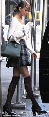 组图：泰勒-斯威夫特带喵星人出街 小猫眼神淡定萌翻