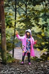 组图：爸爸开启丛林大冒险 金曲歌王曹格落泪