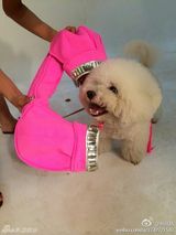 组图：蔡依林微博三宝 钢管屋虎做蛋糕