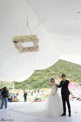 高清图：张杰谢娜香格里拉大婚全程回顾