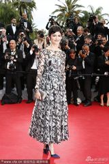 组图：戛纳红毯众星云集 巩俐章子怡领衔女神战