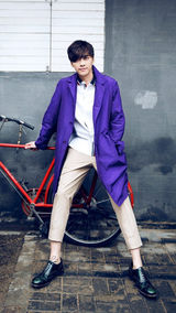 手机壁纸：百变李易峰