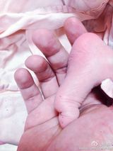 盘点：娱乐圈生孩热！他们都是这样报喜的！