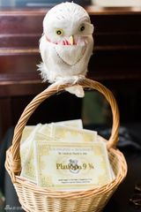 组图：小夫妻办哈利-波特主题婚礼 斯内普证婚