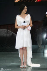 幻灯：小宋佳助阵名车新款首发 盛装闪耀时尚星光　