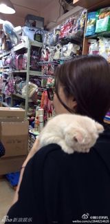 组图：喵星人征服女神！刘亦菲潮装抱猫萌萌哒