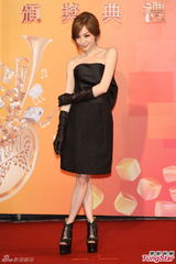 群星亮相金曲奖红毯 蔡依林美腿梁静茹性感(图)