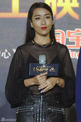 组图：刘亦菲长裙亮相电影首映 吉克隽逸献唱