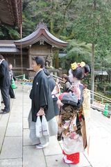 策划：你不知道的日本艺伎 古典优雅又风情万种