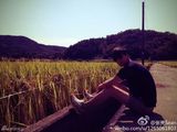 组图：张亮稻田留影紧身T恤秀肌肉 大长腿抢镜