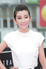 组图：《变4》香港首映 李冰冰透明纱裙秀大腿