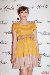 组图：邝美云陈法蓉等出席晚宴  女星抛胸斗艳