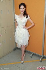 组图：陈凯琳领衔上届港姐亮相 羽毛装唯美吸睛